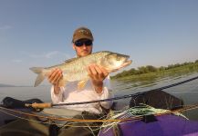 Henrik Megyer 's Fly-fishing Picture of a Asp – Fly dreamers 