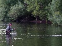 Charles Jardine Fly Fishing a Trout