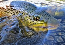 The KeepEmWet Movement