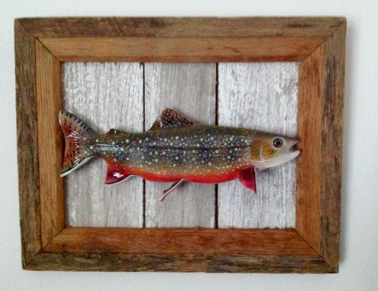 Brook Trout , presented on a Barnwood Frame.