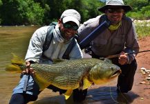 DIEGO COLUSSI 's Fly-fishing Picture of a jaw characin – Fly dreamers 