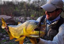 Fly-fishing Image of Salminus maxillosus shared by DIEGO COLUSSI – Fly dreamers