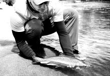 Fly-fishing Pic of Rainbow trout shared by Juan Bia – Fly dreamers 