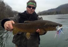 Fly-fishing Photo of Browns shared by Jake Skiba – Fly dreamers 