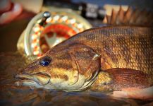 Rebekka  Redd 's Fly-fishing Photo of a Smallmouth Bass – Fly dreamers 
