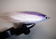 Fly-tying for Striper - Pic shared by Jack Denny – Fly dreamers 