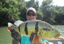 Fly-fishing Photo of Peacock Bass shared by Diego  Bedini – Fly dreamers 