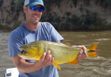 Fly-fishing Image of Golden Dorado shared by Pablo Costa Gonta – Fly dreamers