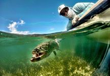  Foto de Pesca con Mosca de Barracuda por Frankie Marion – Fly dreamers 