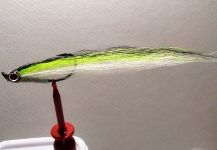 Jack Denny 's Fly for Striper - Pic – Fly dreamers 