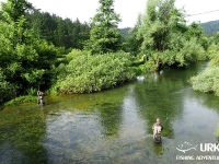 Fly fishing picture