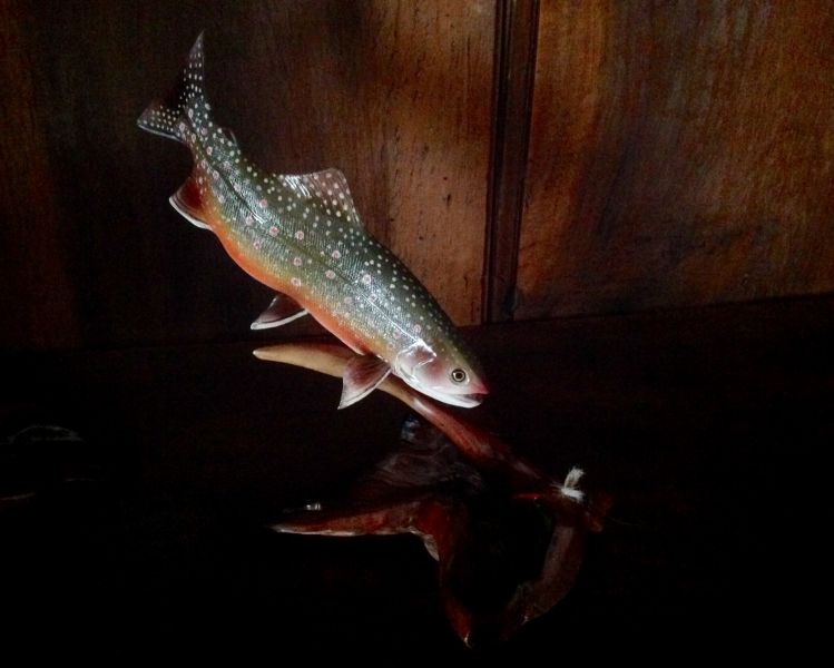 # its_a_wiley
Dolly Varden Trout glimpsing a snagged fly.