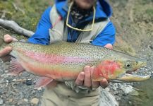 Rainbow trout Fly-fishing Situation – Leandro Herrainz shared this Pic in Fly dreamers 