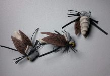 Hernán Tula 's Fly for Pira Pita - Pic – Fly dreamers 