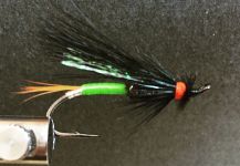 Terry Landry 's Fly-tying for fall salmon - Picture – Fly dreamers 