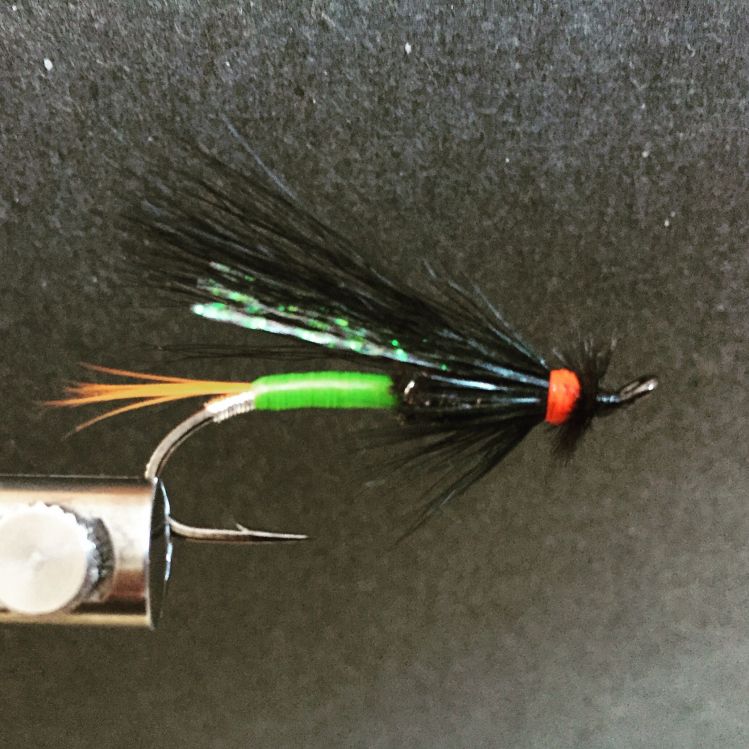 "Same Thing Murray" an Atlantic Salmon fly that's really liked in my area