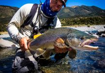 Salmo trutta Fly-fishing Situation – Peter Broomhall shared this Pic in Fly dreamers 
