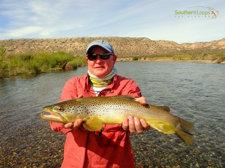Season keeps on going at Northern Patagonia Rivers. 21 incher Brownie on a dry fly - Limay Medio River - Patagonia Argentina