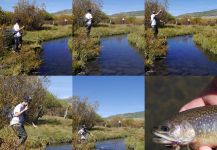 Salvelinus fontinalis Fly-fishing Situation – Luke Alder shared this Image in Fly dreamers 