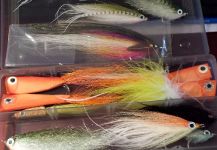 Fly-tying for Other Species - Picture by David Bullard 