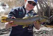 Luke Alder 's Fly-fishing Catch of a Brown trout – Fly dreamers 
