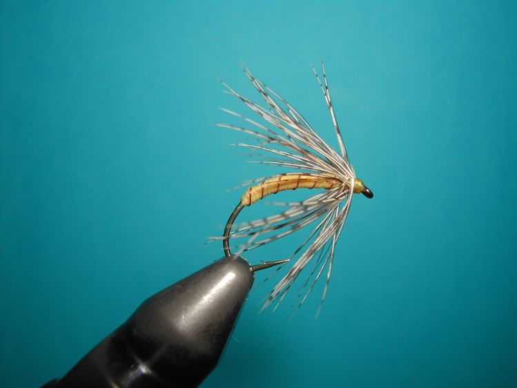 Fly-tying for Loch Leven trout German - Photo by Agostino Roncallo ...