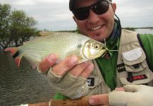 Leo Cardella 's Fly-fishing Catch of a Pira Pita – Fly dreamers 