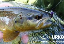 Fly-fishing Picture of Marrones shared by Uros Kristan – Fly dreamers