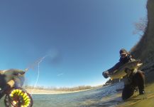  Fotografía de Pesca con Mosca de Char por Stephen Hume – Fly dreamers 