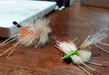 Fly for Permit shared by Brian Shepherd – Fly dreamers 