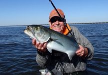Fly-fishing Photo of Bluefish - Tailor - Shad shared by Jack Denny – Fly dreamers 