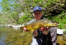 Fly-fishing Picture of von Behr trout shared by Lukas Bauer – Fly dreamers