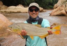 Eduardo Niklison 's Fly-fishing Picture of a Salminus maxillosus – Fly dreamers 