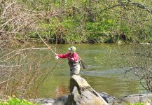 Cierra Bennetch 's Interesting Fly-fishing Situation Pic – Fly dreamers 