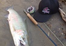 Fly-fishing Picture of Steelhead shared by Kyle Reid – Fly dreamers