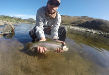 Federico Anselmino 's Fly-fishing Pic of a Rainbow trout – Fly dreamers 