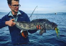Colton Graham 's Fly-fishing Photo of a Lingcod – Fly dreamers 