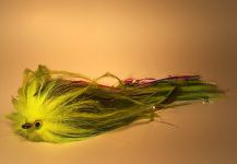 Colton Graham 's Fly-tying for Lingcod - Image – Fly dreamers 