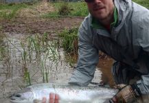 Nate Fritts 's Fly-fishing Pic of a Steelhead – Fly dreamers 
