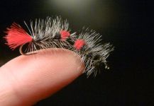 Fly-tying for Rainbow trout - Photo shared by Carlos Estrada – Fly dreamers 