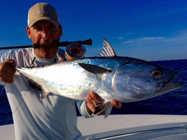 My best False Albacore ever!..17lbs on my TFO Axiom 9wt!..Insane!! Only on A Fly ..guide Dino Torino....so much fun...speechless....i gotta write an article bout this trip. Dino be da man...y