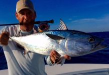 David Bullard 's Fly-fishing Picture of a False Albacore - Little Tunny – Fly dreamers 