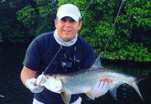 Sweet Fly-fishing Situation of Tarpon - Photo shared by Emerson Bermudez – Fly dreamers 