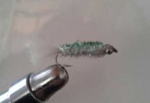Fly-tying for Pejerrey -  Image shared by Gustavo Somosa – Fly dreamers