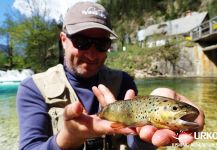 Uros Kristan 's Fly-fishing Pic of a brown trout – Fly dreamers 