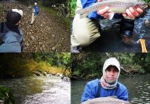 Fly-fishing Image of Rainbow trout shared by Ronaldo Almeida – Fly dreamers