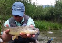 Massimo Feliziani 's Fly-fishing Pic of a Marble Trout – Fly dreamers 