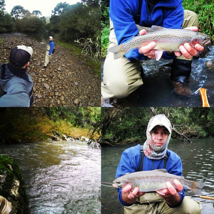 Fly fishing for Trout!!