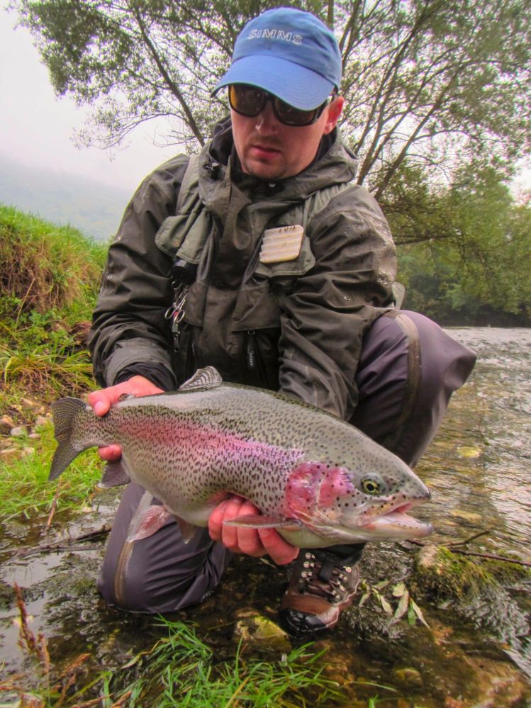 Wild rainbow - catch and release during a heavy storm, it gave me good fight and audience was excited.

Visit us on www.sloflyfishing.com to see more about Slovenia and its rivers, or if you have any questions, do not hesitate to contact us!