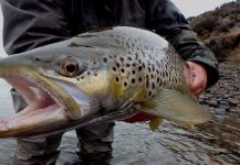  Foto de Pesca con Mosca de Salmo trutta por Chelo . – Fly dreamers 